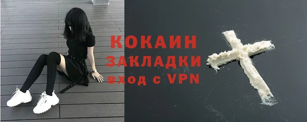 прущие грибы Абдулино