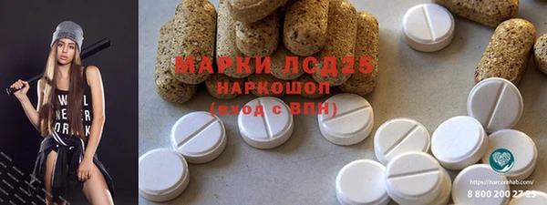 PSILOCYBIN Алзамай
