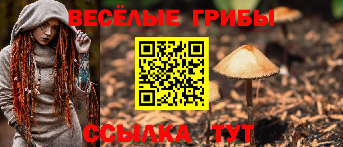 Касимов  Галлюциногенные грибы ЛСД  Псилоцибиновые грибы GOLDEN TEACHER  Вход с VPN 